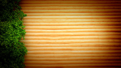 Summer banner, tree and leaves. 3d illustration, 3d rendering.