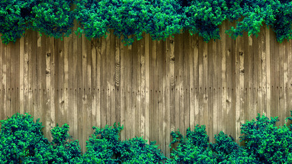 Summer banner, tree and leaves. 3d illustration, 3d rendering.