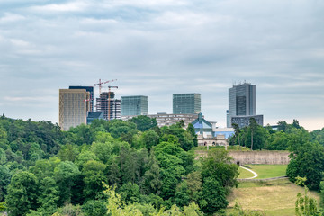 Fototapeta premium Skyscrapers over trees in Luxembourg city.