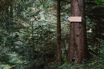 Tourism indicator sign on hiking track