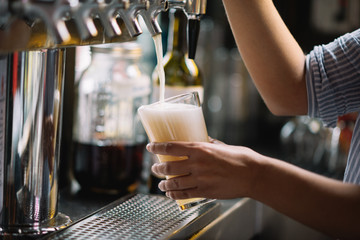Bartender Pulling A Draft Beer