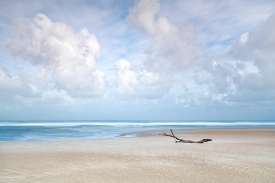 Wide and deserted beach with driftwood.