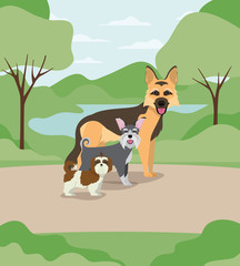 group of dogs pets in the camp characters