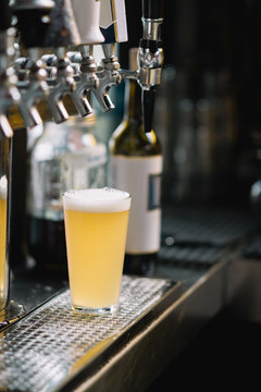 Freshly Poured Draft Beer
