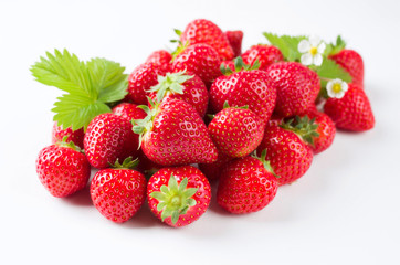 Fresh ripe strawberries offered as closeup on white background with copy space – isolated