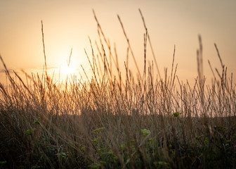 SARDINIA, ITALY - Romantic Sunset