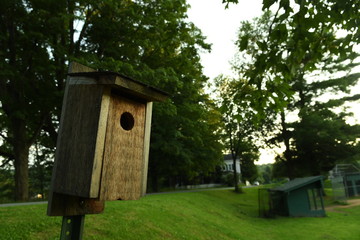 Empty Nest