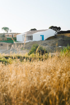 Golden Grass Home