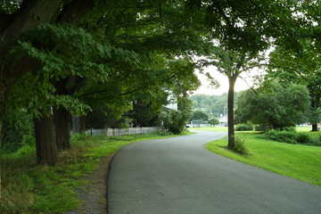 Fototapeta premium Winding Road