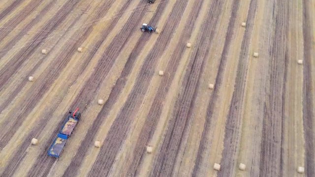Aerial: Haymaking. Tractor collecting round bales of hay and loaded to truck. Agricultural Footage On the Field.