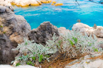Beach of the Adriatic sea in Croatia
