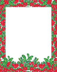 Watercolor card with cranberries, wild berries isolated on white background. Botanical frame can be used for Cosmetics, Spa, natural products, greeting design, invitation, greeting card