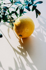 Lemon and leaves with long shadows on a bright beige background with space for text.