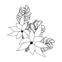 tropical floral botanical environment cartoon in black and white