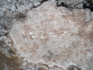 A lake with real salt. Salt crystals in the lake