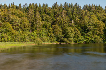 River and forest with reflections