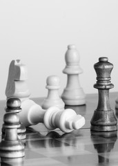 Scacchi fotografati su una scacchiera