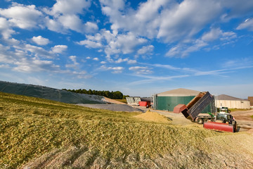 Bearbeitung eines großen Maissilagehaufens