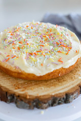 Birthday Cake with Sprinkles
