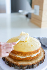 Fototapeta na wymiar icing naked cake with vanilla frosting 