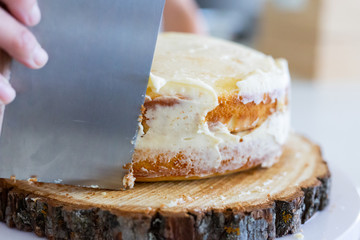 icing naked cake with vanilla frosting 