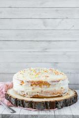 Vanilla Birthday Cake with Colorful Sprinkles on Top