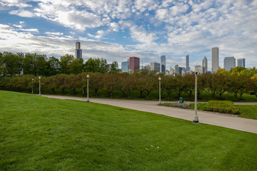Cityscape building view from chicago park