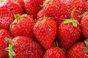 beautiful and ripe red strawberries on a white background