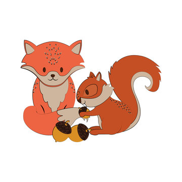 Cute fox and squirrel with nuts cartoons