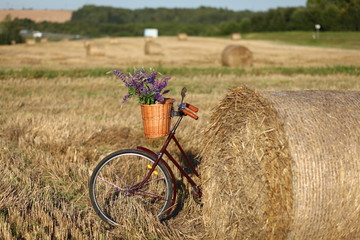 romantic retro bike with basket full of flowers in rural landscape