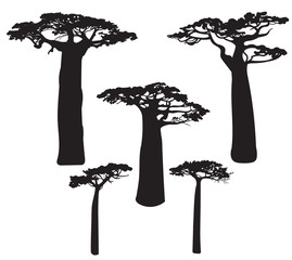 Set of black baobab tree silhouettes