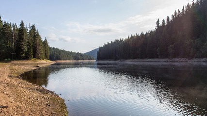 Fototapeta premium Beautiful panorama river in the forest 