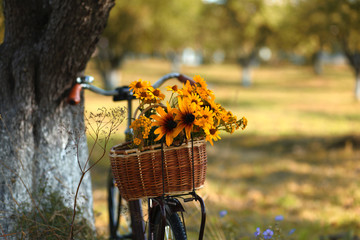 romantic retro bike with basket full of flowers in rural landscape