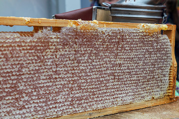 Honeycombs full of honey, closed honeycombs. Natural conditions for long-term storage honey....