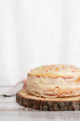 Vanilla Birthday Cake with Colorful Sprinkles on Top