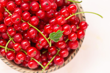 Fresh red currant berries in a bowl on a pink background