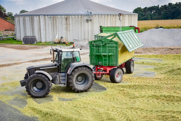 Fototapeta premium Traktor mit Anhänger bringt neue Maissilage auf den Haufen