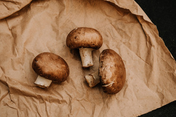 Champignons mushrooms on paper on black background