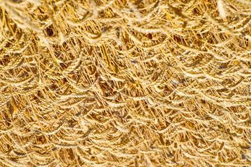 field of wheat