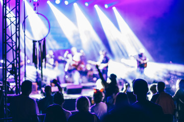 The audience watching a rock concert