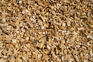 Woodchip solid fuel for Biomass plant from forest waste harvesting