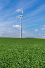 Wind turbines on a green wheat field