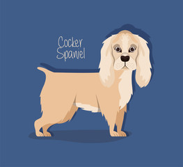 cute cocker spaniel dog pet character