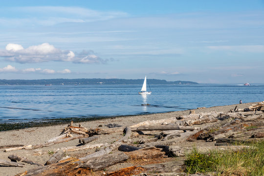 Sailboat on Puget Sound