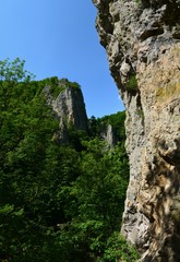 Fototapeta na wymiar Varghis canyon - Romania