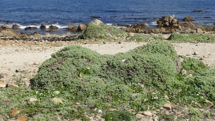 Obraz premium landscape of rocky beach and nature