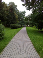 path in park