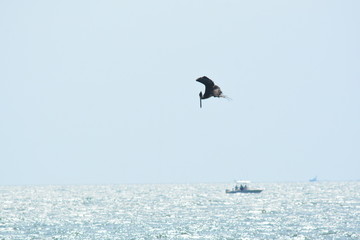 Fishing from the land and Sea