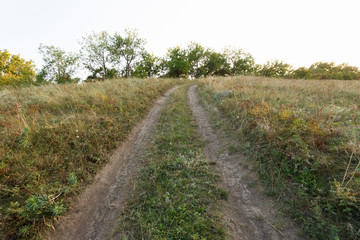 Fototapeta na wymiar Meadow path among the hills