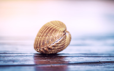 Shell closed locked crypted protection safety concept